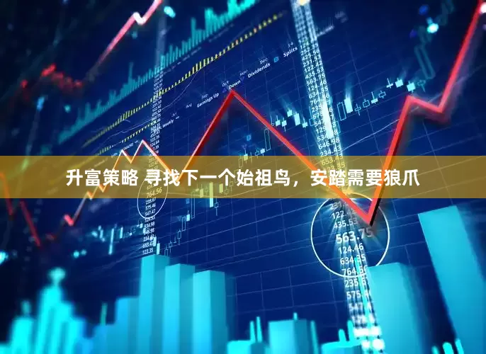 升富策略 寻找下一个始祖鸟，安踏需要狼爪