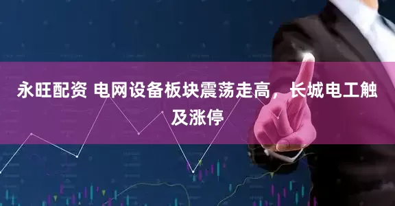 永旺配资 电网设备板块震荡走高，长城电工触及涨停