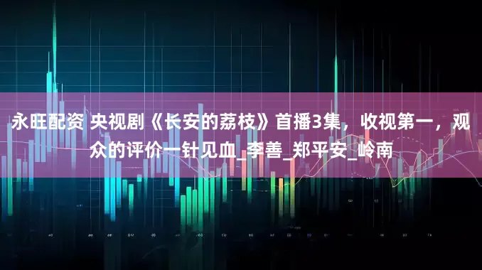 永旺配资 央视剧《长安的荔枝》首播3集，收视第一，观众的评价一针见血_李善_郑平安_岭南