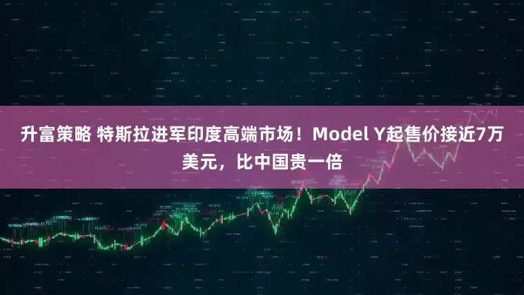 升富策略 特斯拉进军印度高端市场！Model Y起售价接近7万美元，比中国贵一倍
